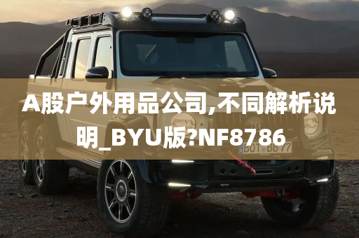 A股户外用品公司,不同解析说明_BYU版?NF8786