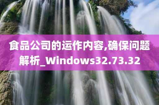 食品公司的运作内容,确保问题解析_Windows32.73.32