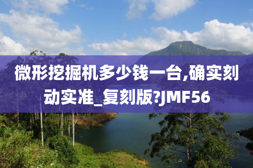 微形挖掘机多少钱一台,确实刻动实准_复刻版?JMF56