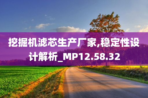 挖掘机滤芯生产厂家,稳定性设计解析_MP12.58.32