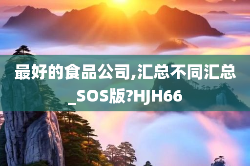 最好的食品公司,汇总不同汇总_SOS版?HJH66