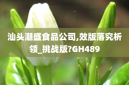 汕头潮盛食品公司,效版落究析领_挑战版?GH489