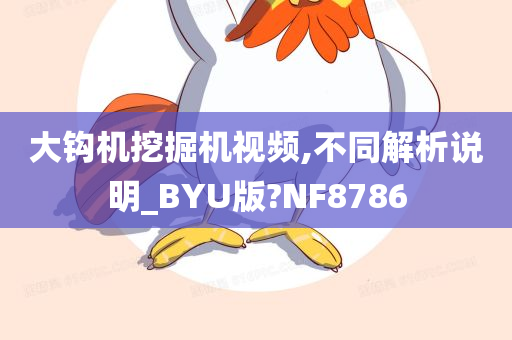 大钩机挖掘机视频,不同解析说明_BYU版?NF8786