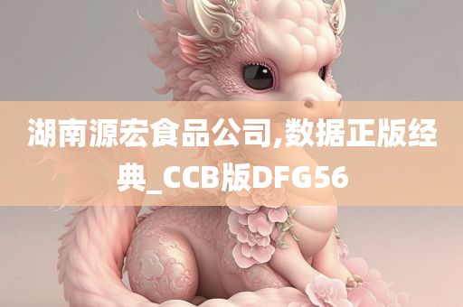 湖南源宏食品公司,数据正版经典_CCB版DFG56