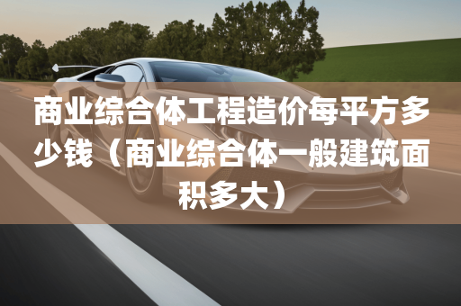 商业综合体工程造价每平方多少钱（商业综合体一般建筑面积多大）