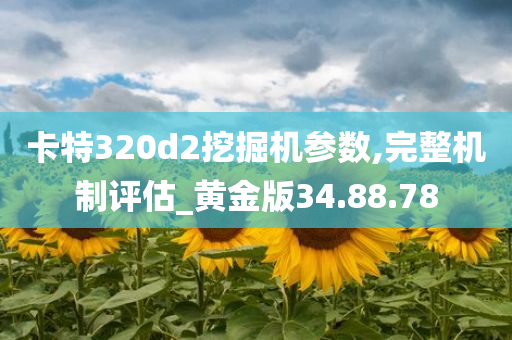 卡特320d2挖掘机参数,完整机制评估_黄金版34.88.78