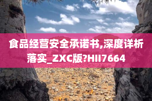 食品经营安全承诺书,深度详析落实_ZXC版?HII7664