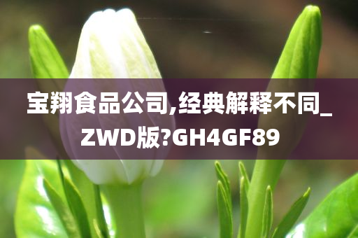 宝翔食品公司,经典解释不同_ZWD版?GH4GF89