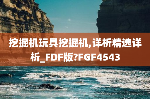 挖掘机玩具挖掘机,详析精选详析_FDF版?FGF4543