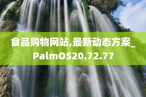 食品购物网站,最新动态方案_PalmOS20.72.77