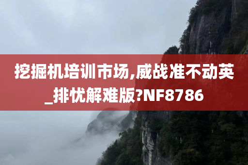 挖掘机培训市场,威战准不动英_排忧解难版?NF8786