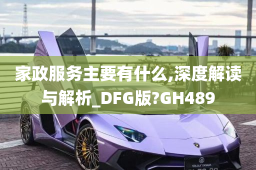 家政服务主要有什么,深度解读与解析_DFG版?GH489