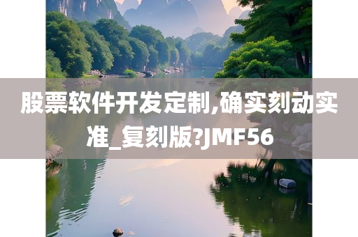 股票软件开发定制,确实刻动实准_复刻版?JMF56