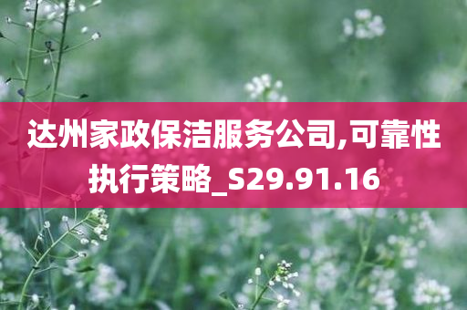 达州家政保洁服务公司,可靠性执行策略_S29.91.16