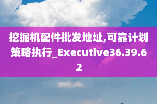 挖掘机配件批发地址,可靠计划策略执行_Executive36.39.62