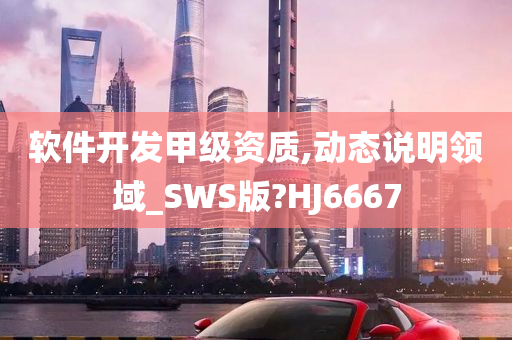 软件开发甲级资质,动态说明领域_SWS版?HJ6667