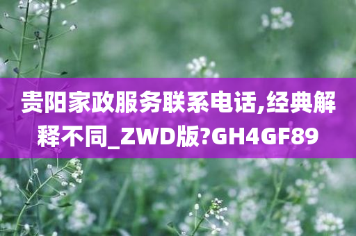 贵阳家政服务联系电话,经典解释不同_ZWD版?GH4GF89