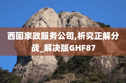 西固家政服务公司,析究正解分战_解决版GHF87