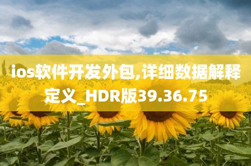 ios软件开发外包,详细数据解释定义_HDR版39.36.75