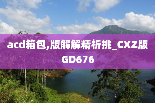 acd箱包,版解解精析挑_CXZ版GD676