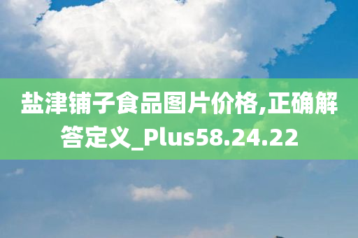 盐津铺子食品图片价格,正确解答定义_Plus58.24.22