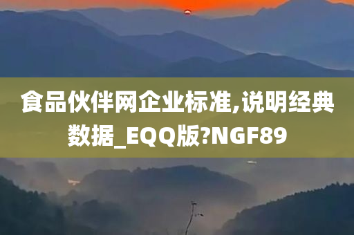 食品伙伴网企业标准,说明经典数据_EQQ版?NGF89