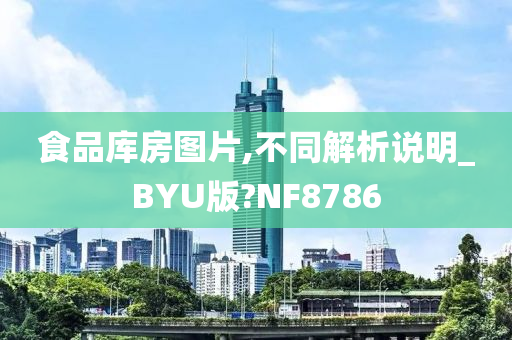 食品库房图片,不同解析说明_BYU版?NF8786