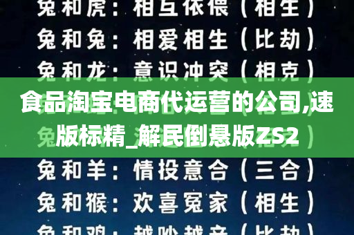 食品淘宝电商代运营的公司,速版标精_解民倒悬版ZS2