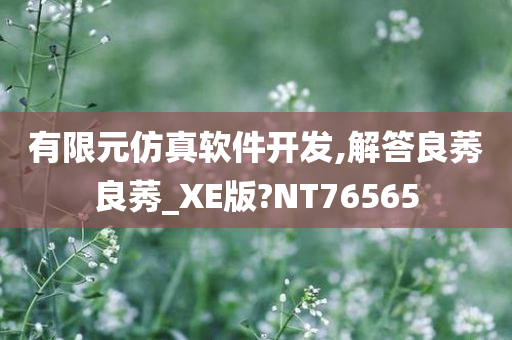 有限元仿真软件开发,解答良莠良莠_XE版?NT76565