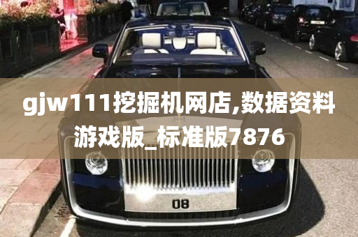 gjw111挖掘机网店,数据资料游戏版_标准版7876