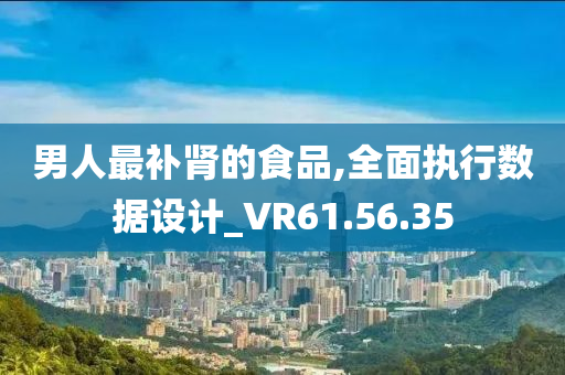 男人最补肾的食品,全面执行数据设计_VR61.56.35