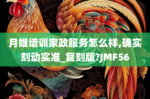 月嫂培训家政服务怎么样,确实刻动实准_复刻版?JMF56