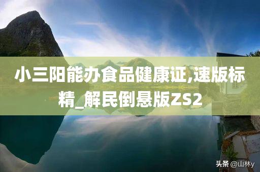 小三阳能办食品健康证,速版标精_解民倒悬版ZS2