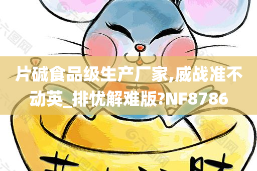 片碱食品级生产厂家,威战准不动英_排忧解难版?NF8786