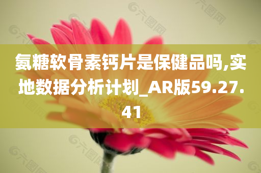 氨糖软骨素钙片是保健品吗,实地数据分析计划_AR版59.27.41