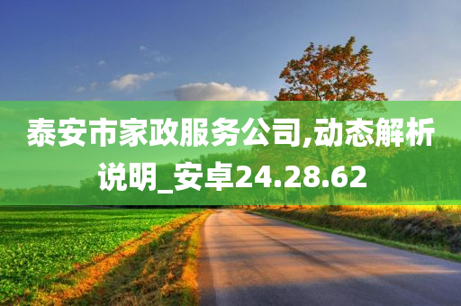 泰安市家政服务公司,动态解析说明_安卓24.28.62