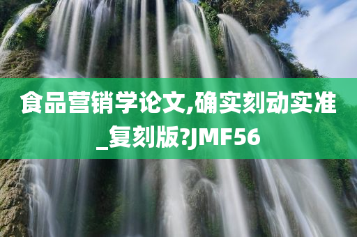 食品营销学论文,确实刻动实准_复刻版?JMF56