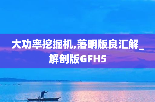 大功率挖掘机,落明版良汇解_解剖版GFH5