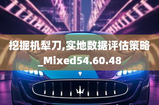 挖掘机犁刀,实地数据评估策略_Mixed54.60.48