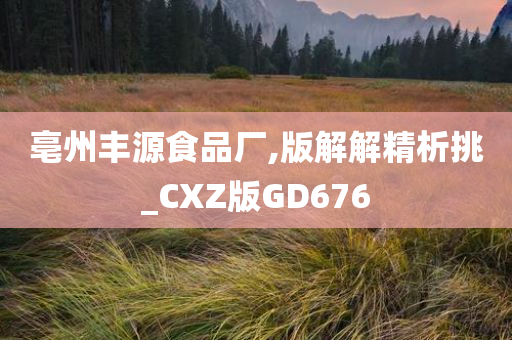 亳州丰源食品厂,版解解精析挑_CXZ版GD676