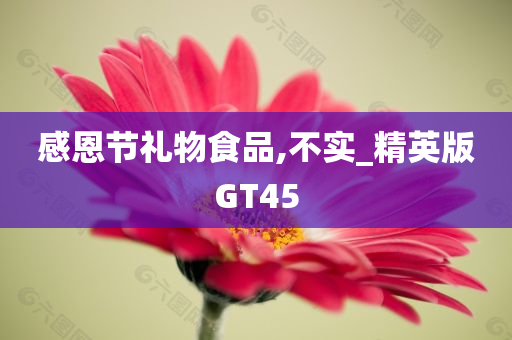 感恩节礼物食品,不实_精英版GT45