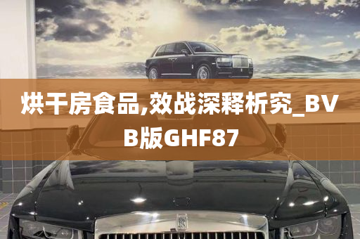 烘干房食品,效战深释析究_BVB版GHF87