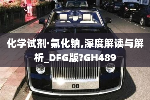 化学试剂·氟化钠,深度解读与解析_DFG版?GH489