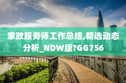 家政服务师工作总结,精选动态分析_NDW版?GG756