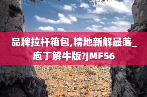 品牌拉杆箱包,精地新解最落_庖丁解牛版?JMF56