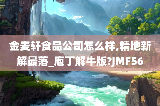 金麦轩食品公司怎么样,精地新解最落_庖丁解牛版?JMF56