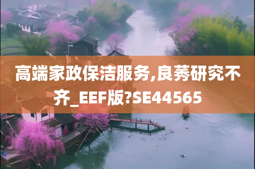 高端家政保洁服务,良莠研究不齐_EEF版?SE44565