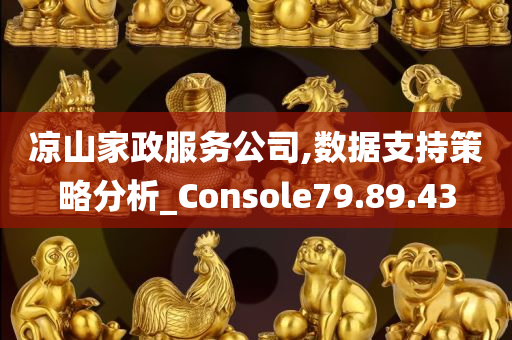 凉山家政服务公司,数据支持策略分析_Console79.89.43