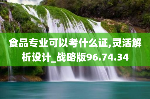 食品专业可以考什么证,灵活解析设计_战略版96.74.34