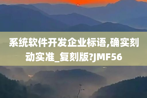 系统软件开发企业标语,确实刻动实准_复刻版?JMF56